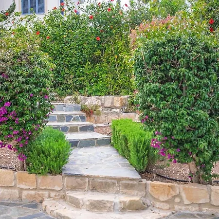 Selenia With Private Pool & Jacuzzi In Latsi Paphos Villa