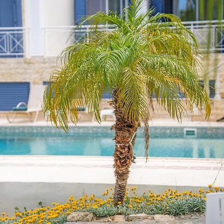 Selenia With Private Pool & Jacuzzi In Latsi Paphos Villa