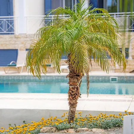 Seaview Selenia With Private Pool In Paphos