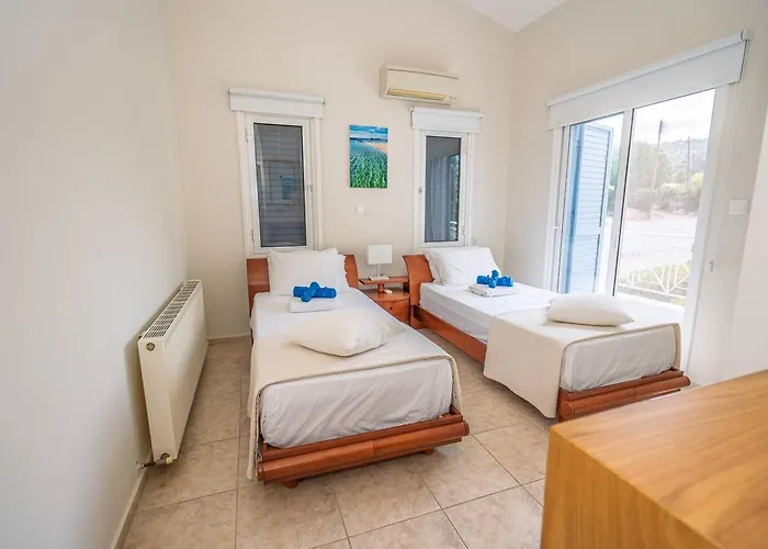 Seaview Selenia Pool & Jacuzzi In Vilă Neo Chorio